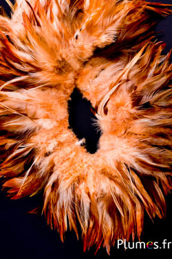 Fringe haan - veerlengte 10-15 cm - wildzand